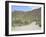 Saguaro Cacti, Saguaro National Park, Tuscon Mountain District West Unit, Tucson, Arizona-Wendy Connett-Framed Photographic Print