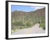 Saguaro Cacti, Saguaro National Park, Tuscon Mountain District West Unit, Tucson, Arizona-Wendy Connett-Framed Photographic Print