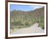 Saguaro Cacti, Saguaro National Park, Tuscon Mountain District West Unit, Tucson, Arizona-Wendy Connett-Framed Photographic Print