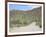 Saguaro Cacti, Saguaro National Park, Tuscon Mountain District West Unit, Tucson, Arizona-Wendy Connett-Framed Photographic Print