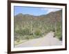 Saguaro Cacti, Saguaro National Park, Tuscon Mountain District West Unit, Tucson, Arizona-Wendy Connett-Framed Photographic Print