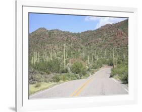 Saguaro Cacti, Saguaro National Park, Tuscon Mountain District West Unit, Tucson, Arizona-Wendy Connett-Framed Photographic Print