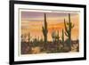 Saguaro Cacti-null-Framed Art Print