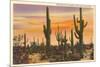 Saguaro Cacti-null-Mounted Art Print