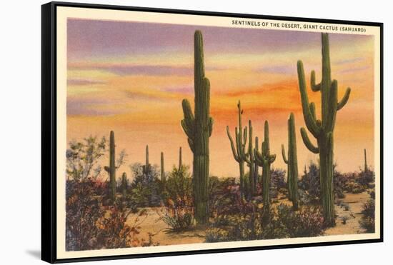 Saguaro Cacti-null-Framed Stretched Canvas