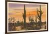 Saguaro Cacti-null-Framed Art Print