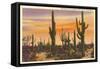 Saguaro Cacti-null-Framed Stretched Canvas