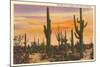 Saguaro Cacti-null-Mounted Art Print