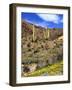 Saguaro Cactus, Ajo, Arizona, USA-Peter Hawkins-Framed Photographic Print