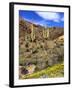 Saguaro Cactus, Ajo, Arizona, USA-Peter Hawkins-Framed Photographic Print