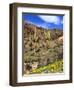 Saguaro Cactus, Ajo, Arizona, USA-Peter Hawkins-Framed Photographic Print