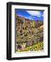 Saguaro Cactus, Ajo, Arizona, USA-Peter Hawkins-Framed Photographic Print