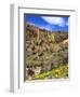 Saguaro Cactus, Ajo, Arizona, USA-Peter Hawkins-Framed Photographic Print