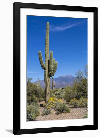 Saguaro Cactus and Flowers-desertsolitaire-Framed Photographic Print