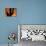 Saguaro Cactus and Wren, Sonoran Desert, Arizona, USA-Marilyn Parver-Photographic Print displayed on a wall