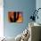 Saguaro Cactus and Wren, Sonoran Desert, Arizona, USA-Marilyn Parver-Photographic Print displayed on a wall