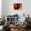 Saguaro Cactus and Wren, Sonoran Desert, Arizona, USA-Marilyn Parver-Photographic Print displayed on a wall