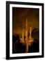 Saguaro Cactus At Night, Arizona-Steve Gadomski-Framed Photographic Print