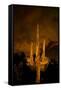 Saguaro Cactus At Night, Arizona-Steve Gadomski-Framed Stretched Canvas