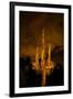 Saguaro Cactus At Night, Arizona-Steve Gadomski-Framed Photographic Print