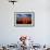 Saguaro cactus at Saguaro National Park, Tucson, Arizona, USA-null-Framed Photographic Print displayed on a wall