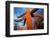 Saguaro cactus at Saguaro National Park, Tucson, Arizona, USA-null-Framed Photographic Print