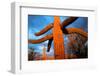 Saguaro cactus at Saguaro National Park, Tucson, Arizona, USA-null-Framed Photographic Print