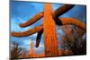 Saguaro cactus at Saguaro National Park, Tucson, Arizona, USA-null-Mounted Photographic Print