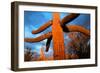 Saguaro cactus at Saguaro National Park, Tucson, Arizona, USA-null-Framed Photographic Print