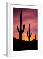 Saguaro Cactus at Sunrise under Gates Pass, Tucson Mountain Park, Arizona-Russ Bishop-Framed Photographic Print