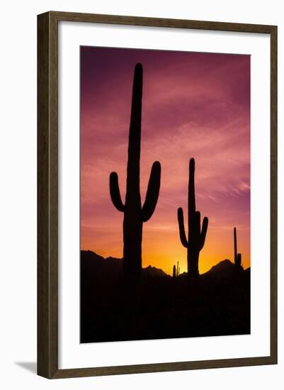 Saguaro Cactus at Sunrise under Gates Pass, Tucson Mountain Park, Arizona-Russ Bishop-Framed Photographic Print