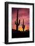 Saguaro Cactus at Sunrise under Gates Pass, Tucson Mountain Park, Arizona-Russ Bishop-Framed Photographic Print