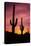 Saguaro Cactus at Sunrise under Gates Pass, Tucson Mountain Park, Arizona-Russ Bishop-Stretched Canvas