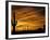 Saguaro Cactus at Sunset, Sonoran Desert, Arizona, USA-Marilyn Parver-Framed Photographic Print