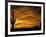 Saguaro Cactus at Sunset, Sonoran Desert, Arizona, USA-Marilyn Parver-Framed Photographic Print