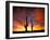 Saguaro Cactus at Sunset, Sonoran Desert, Arizona, USA-Marilyn Parver-Framed Premium Photographic Print