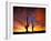 Saguaro Cactus at Sunset, Sonoran Desert, Arizona, USA-Marilyn Parver-Framed Photographic Print