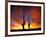 Saguaro Cactus at Sunset, Sonoran Desert, Arizona, USA-Marilyn Parver-Framed Photographic Print