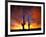 Saguaro Cactus at Sunset, Sonoran Desert, Arizona, USA-Marilyn Parver-Framed Photographic Print