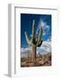 Saguaro Cactus Await Monsoon-raphoto-Framed Photographic Print