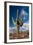 Saguaro Cactus Await Monsoon-raphoto-Framed Photographic Print