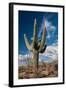 Saguaro Cactus Await Monsoon-raphoto-Framed Photographic Print