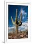 Saguaro Cactus Await Monsoon-raphoto-Framed Photographic Print