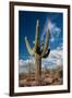 Saguaro Cactus Await Monsoon-raphoto-Framed Photographic Print