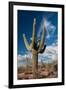 Saguaro Cactus Await Monsoon-raphoto-Framed Photographic Print