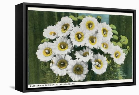 Saguaro Cactus Blossoms-null-Framed Stretched Canvas