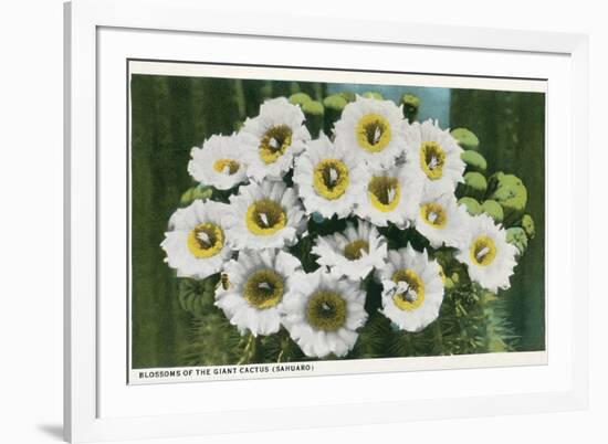 Saguaro Cactus Blossoms-null-Framed Premium Giclee Print