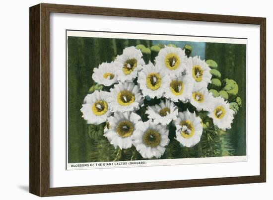 Saguaro Cactus Blossoms-null-Framed Art Print