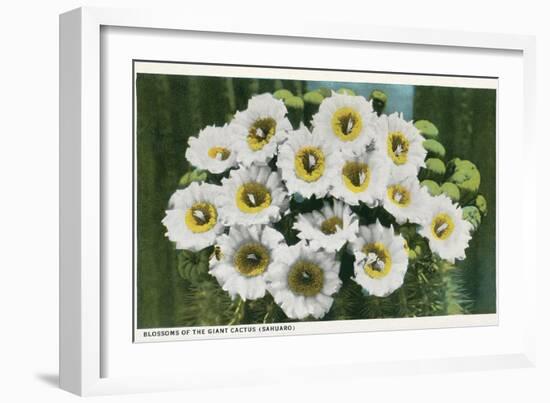 Saguaro Cactus Blossoms-null-Framed Art Print