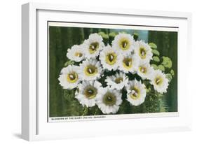 Saguaro Cactus Blossoms-null-Framed Art Print